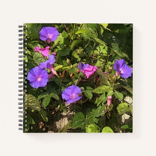 Carnet spirale Aquarelle Matin Glories Design (Devant)