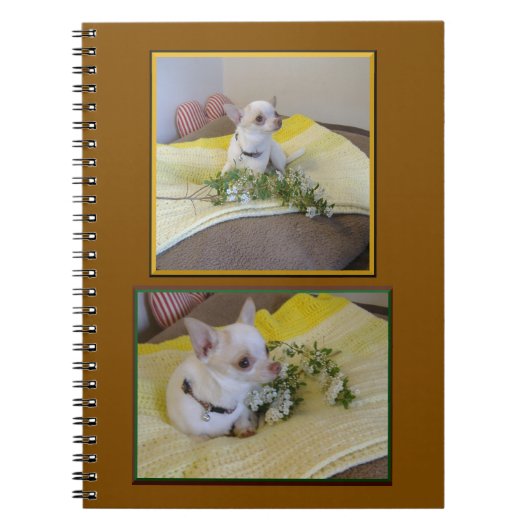 Carnet spiralé Chihuahua Fleur (Devant)