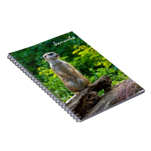 Carnet spiralé de suricate (Côté Droit)