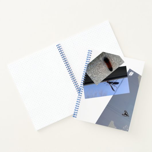 Carnet spirale/INSECTES/MÉTROPOLIME CONCEPTION Not (Intérieur)