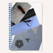 Carnet spirale/INSECTES/MÉTROPOLIME CONCEPTION Not (Recto)