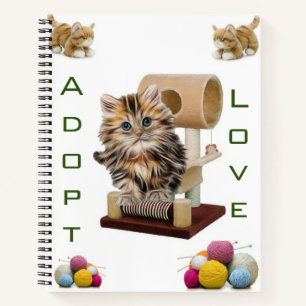 Carnet spirale Kitten Chat Condo Chat Adoption Amo