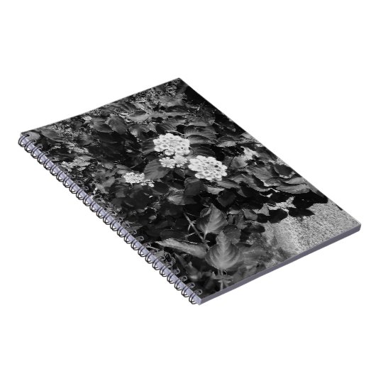 Carnet Spirale Old Flowers (Côté Droit)