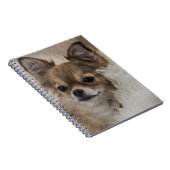 Carnet Spoilt Chihuahua Relaxing (Côté Droit)