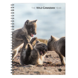 Carnet Spring - Arctic Fox