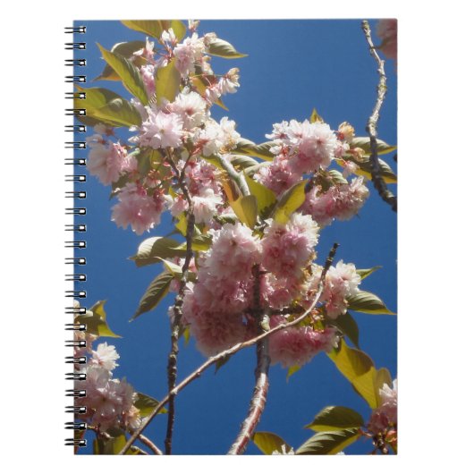 Carnet Spring Blossoms (Devant)