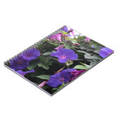 Carnet Spring Morning Glories en bleu (Côté gauche)