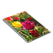 Carnet Spring tulips, Oregon (Côté Droit)