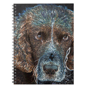 Carnet Springer Anglais