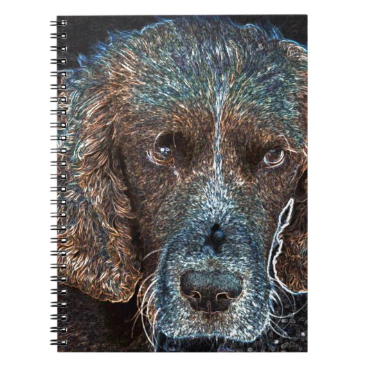 Carnet Springer Anglais (Devant)