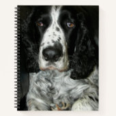 Carnet Springer Spaniel anglais noir et blanc (Devant)