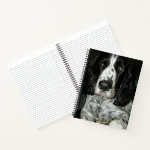 Carnet Springer Spaniel anglais noir et blanc