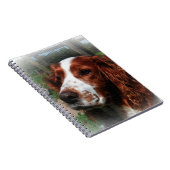 Carnet Springer Spaniel Chien Art (Côté Droit)