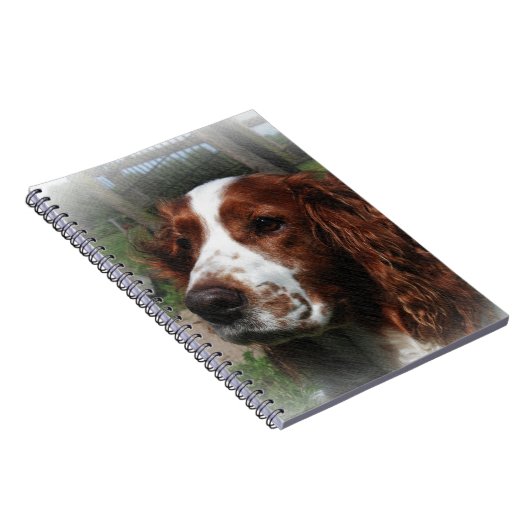 Carnet Springer Spaniel Chien Art (Côté Droit)