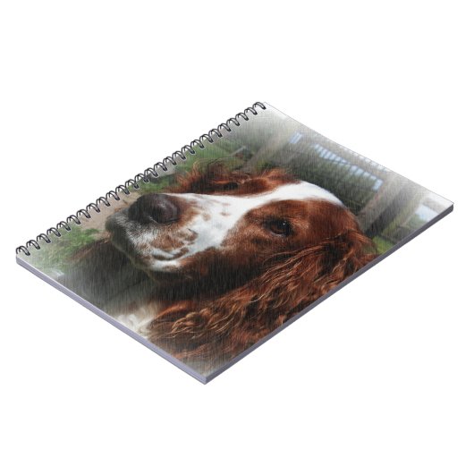 Carnet Springer Spaniel Chien Art (Côté gauche)