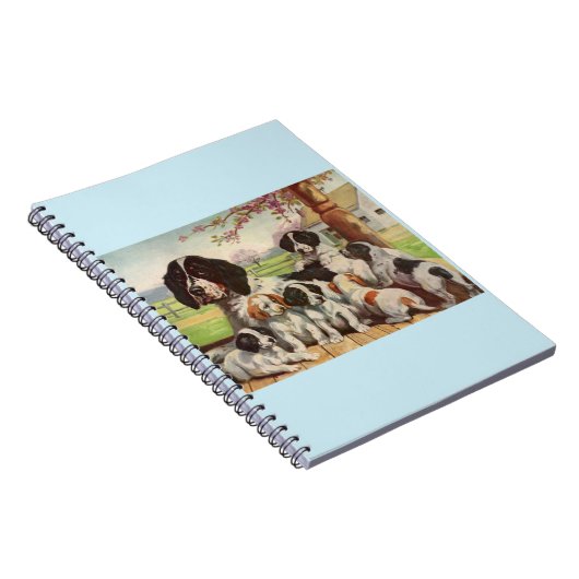 Carnet springer spaniel maman et chiots (Côté Droit)