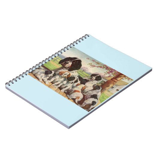 Carnet springer spaniel maman et chiots (Côté gauche)