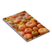 Carnet Squash Galore (Côté Droit)