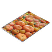 Carnet Squash Galore (Côté gauche)