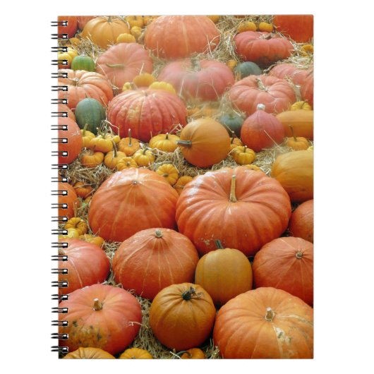 Carnet Squash Galore (Devant)