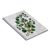 Carnet Squash Vine 4 (Côté Droit)