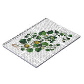 Carnet Squash Vine 4 (Côté gauche)