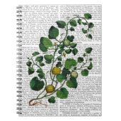 Carnet Squash Vine 4 (Devant)