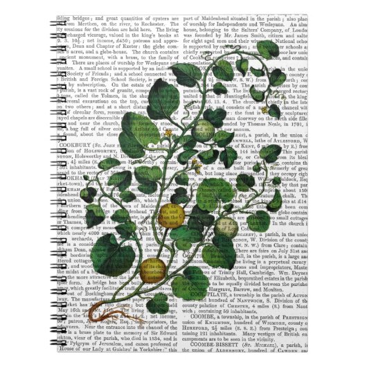 Carnet Squash Vine 4 (Devant)