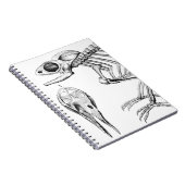 Carnet squelette de lézard vintage (Côté Droit)