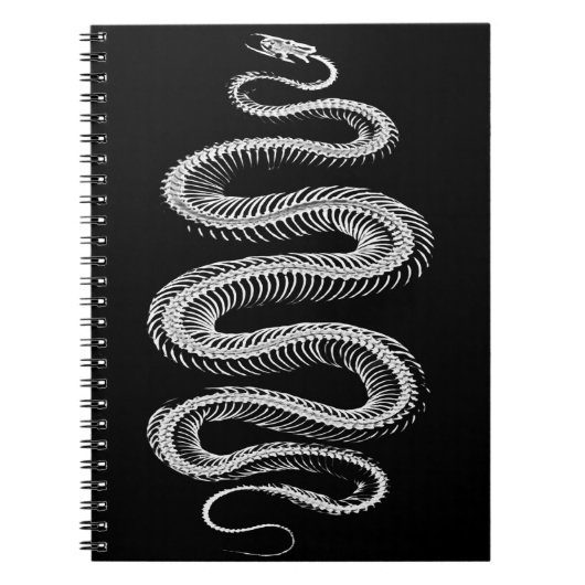 Carnet Squelette de serpent coulissant (Devant)