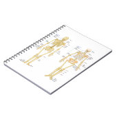 Carnet Squelette humain marqué diagramme d'anatomie (Côté gauche)