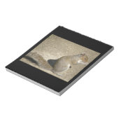Carnet Squirrel Hungry Horatio (Tourné)