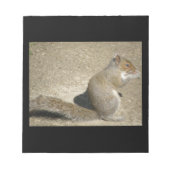 Carnet Squirrel Hungry Horatio (Devant)