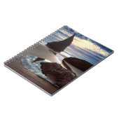 Carnet Stack marin en forme d'épine | Face Rock Wayside, (Côté gauche)