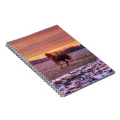 Carnet Stallion à la maison au coucher du soleil sur le R (Côté Droit)