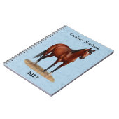Carnet Stallion Cheval du Quartier Brown Bay (Côté gauche)