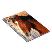 Carnet Stallion Horse (Côté Droit)