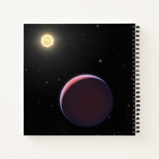 Carnet Star Kepler 51 et Trois planètes géantes comme le  (Dos)