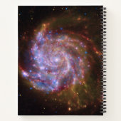 Carnet Starbirth in the Pinwheel : Galaxy M101 (Dos)