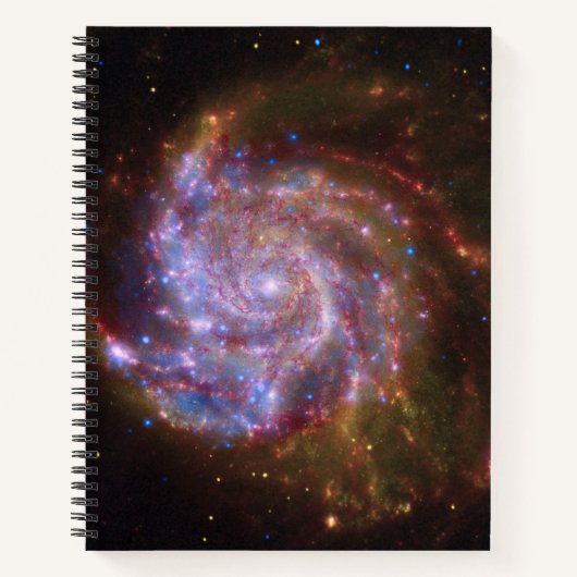 Carnet Starbirth in the Pinwheel : Galaxy M101 (Devant)