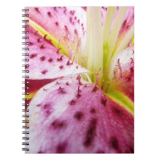 Carnet Stargazer Lily brillant Magenta Floral (Devant)
