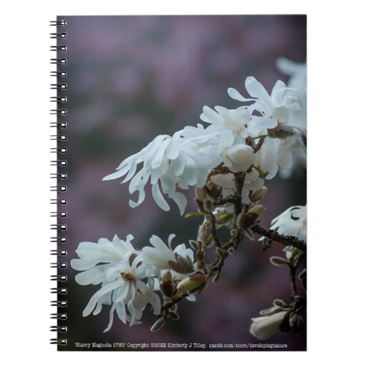 Carnet Starry Magnolia (Devant)