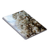 Carnet Starry Magnolia 5781 (Côté Droit)