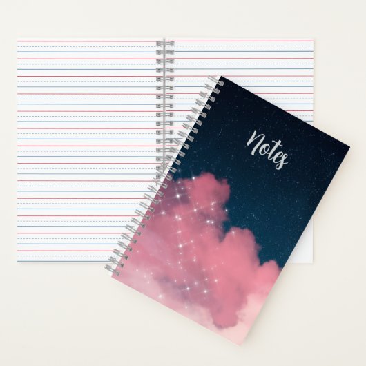 carnet starynite (À l'intérieur)