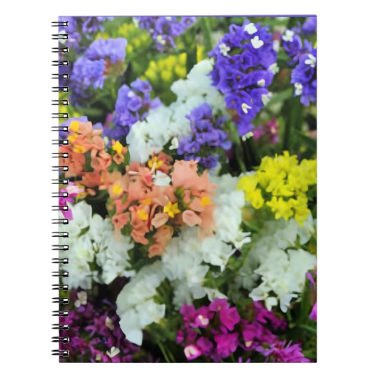 Carnet Statice colorée (Devant)