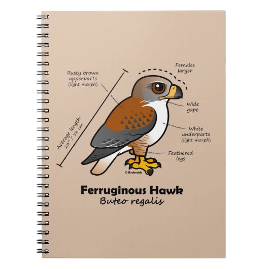 Carnet Statistiques ferrugineuses de faucon (Devant)