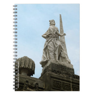 Carnet Statue de la Force à Bamberg