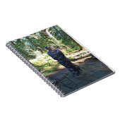 Carnet Statue Sacagawea, Fort Clatsop, Astoria, Oregon (Côté Droit)