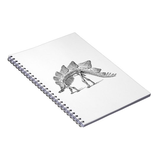 Carnet Stegosaurus Dinosaure Squelette Fossile (Côté Droit)