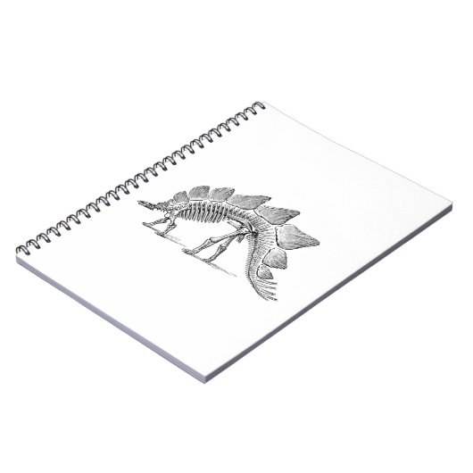 Carnet Stegosaurus Dinosaure Squelette Fossile (Côté gauche)